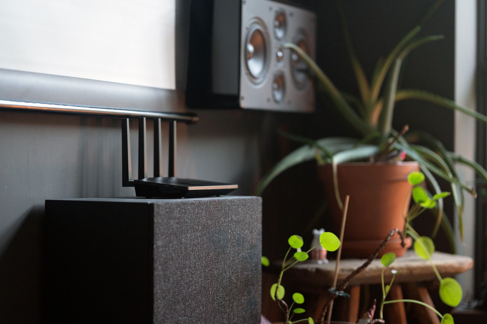Encrouter sitting on top of a subwoofer in a living room with plants and a speaker system nearby.